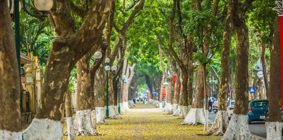 Hanoi-walking-tours
