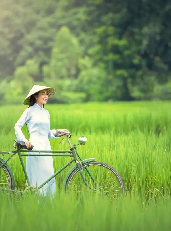 bicycle-gb27997811_1920