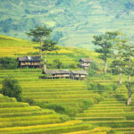 Village in Sapa Vietnam