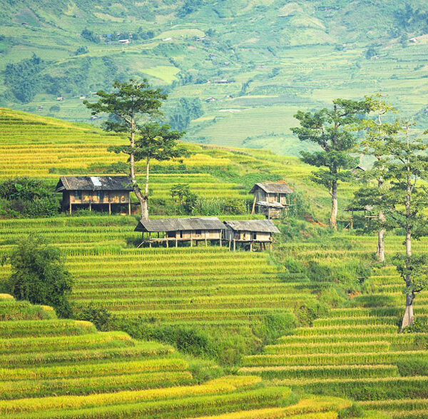 Village in Sapa Vietnam