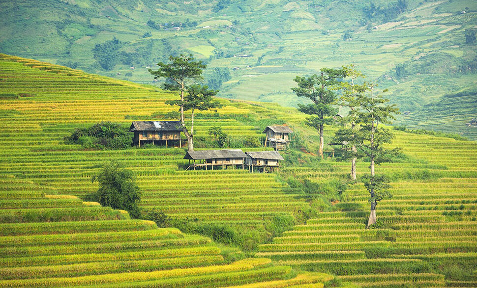 Village in Sapa Vietnam