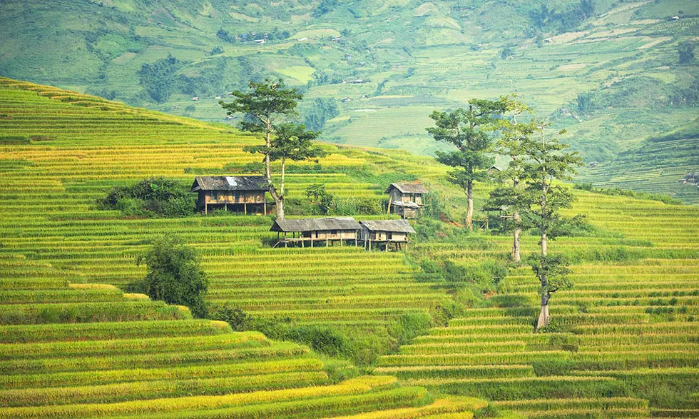 Village in Sapa Vietnam